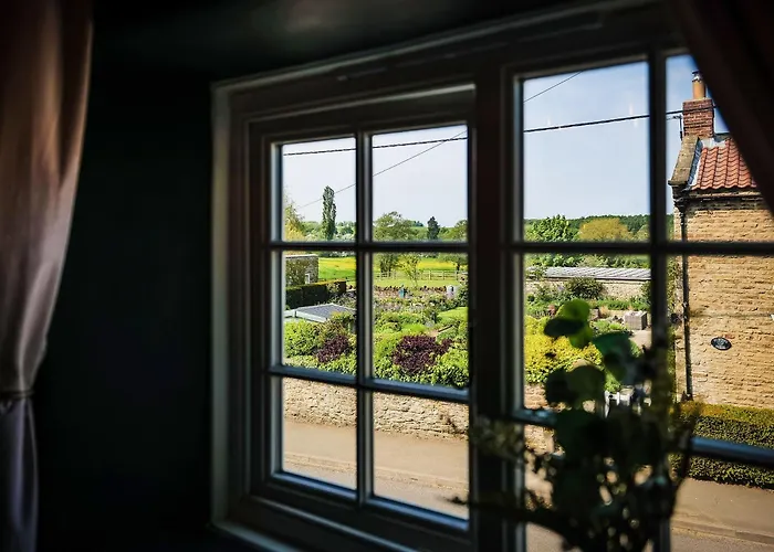 Snowdrop Whitwell-on-the-Hill